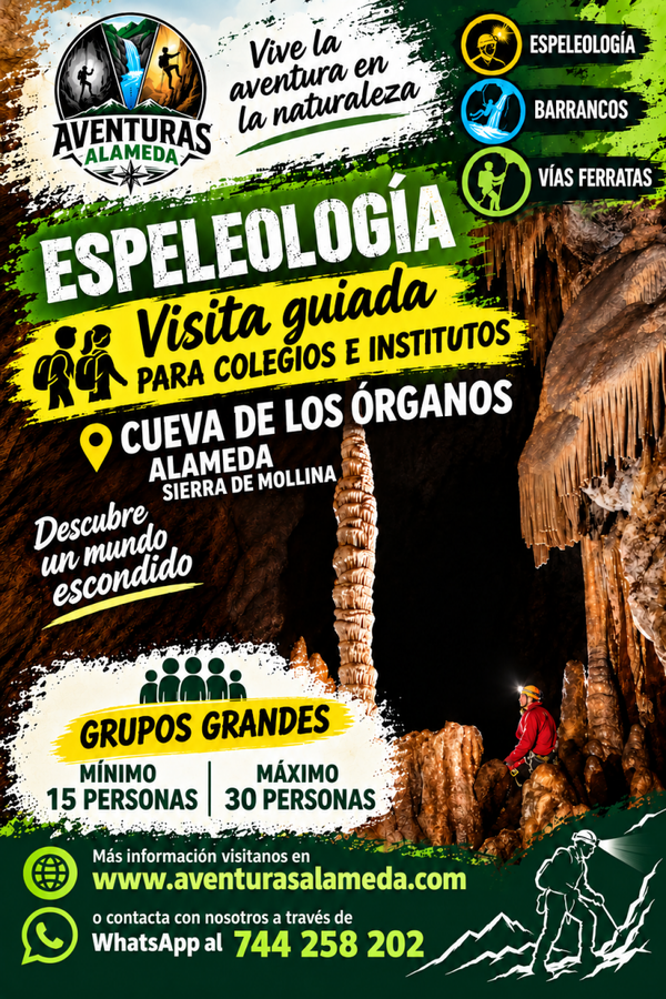 Cueva de los órganos GRUPOS GRANDES 28 € por persona