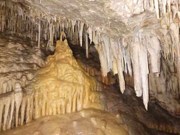 Cueva de la araña sierra de mollina 40 €