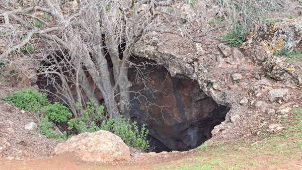 Cueva de los órganos GRUPOS GRANDES