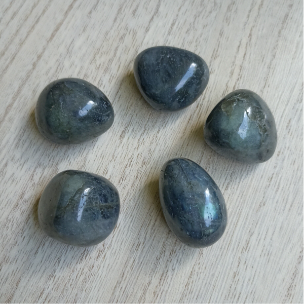 Pierres roulées - Labradorite