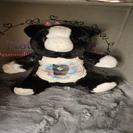img-20240329-wa0218-standard-cvor6x.jpg