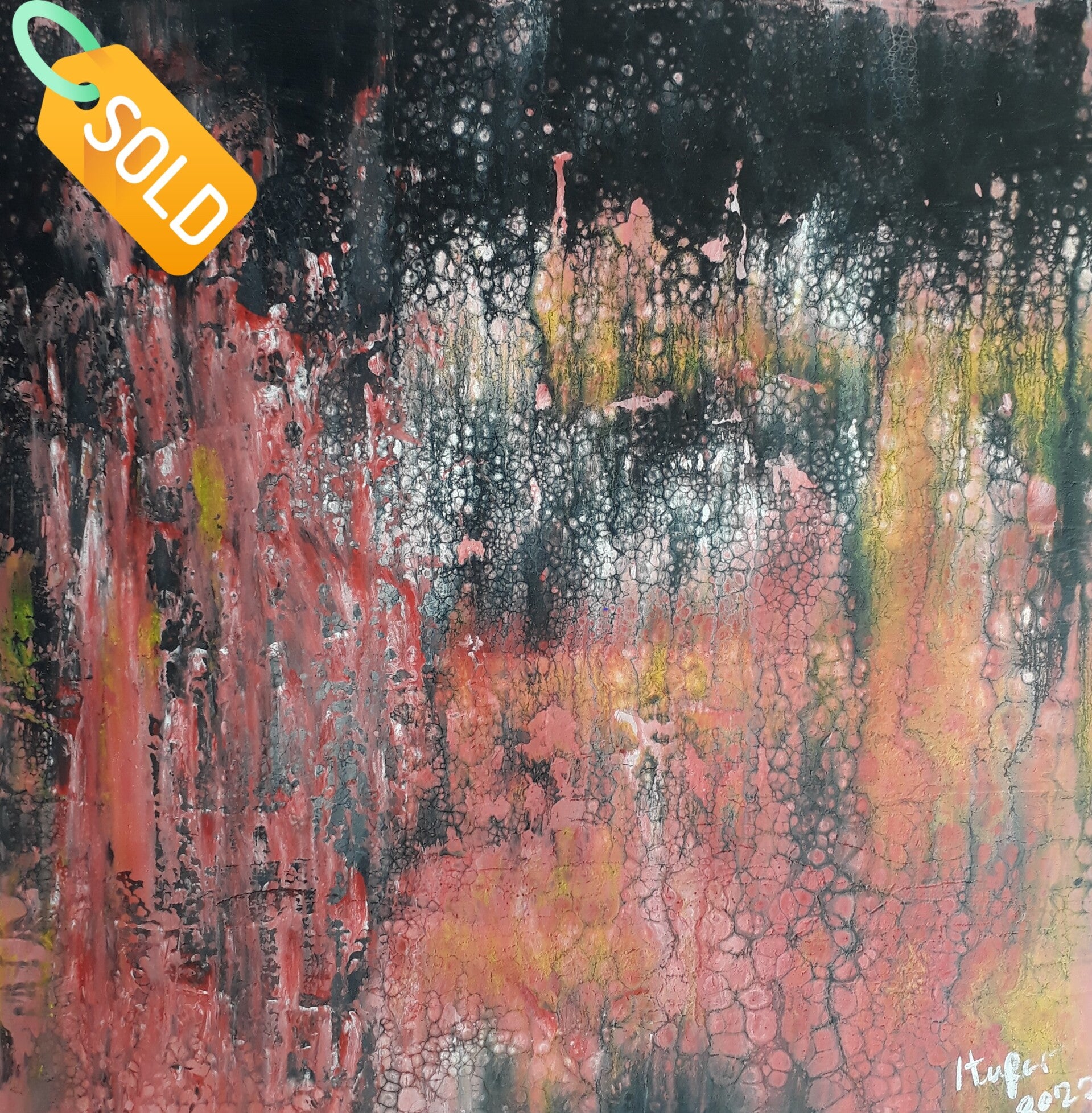 Serie Naturaleza "Estrellas".