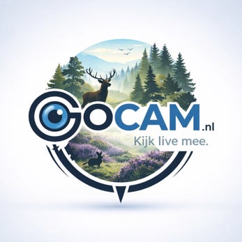 Live webcams Natuur & Dieren