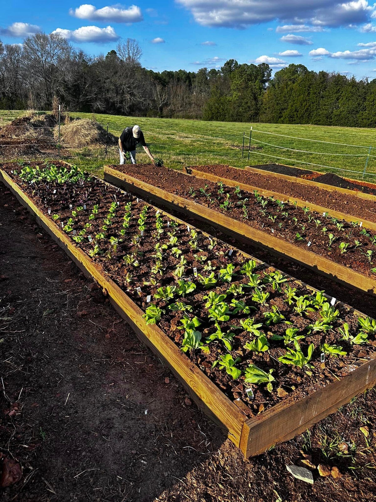 Educational Workshops / Pro-generative Farming / Learning Modules ...