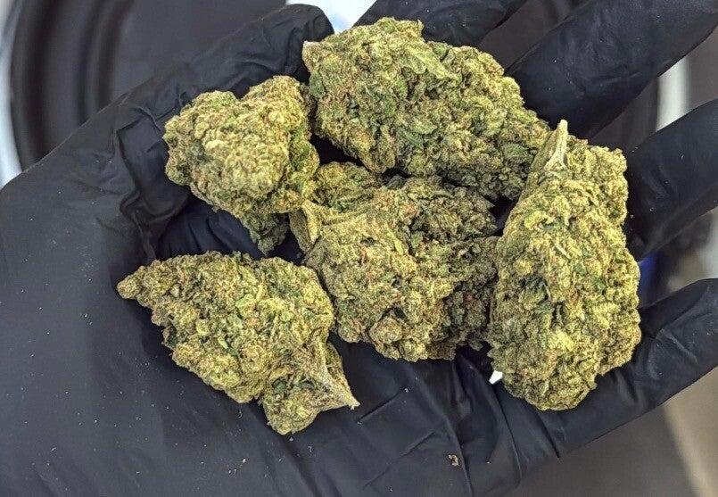 Northen Lighs 🇨🇭