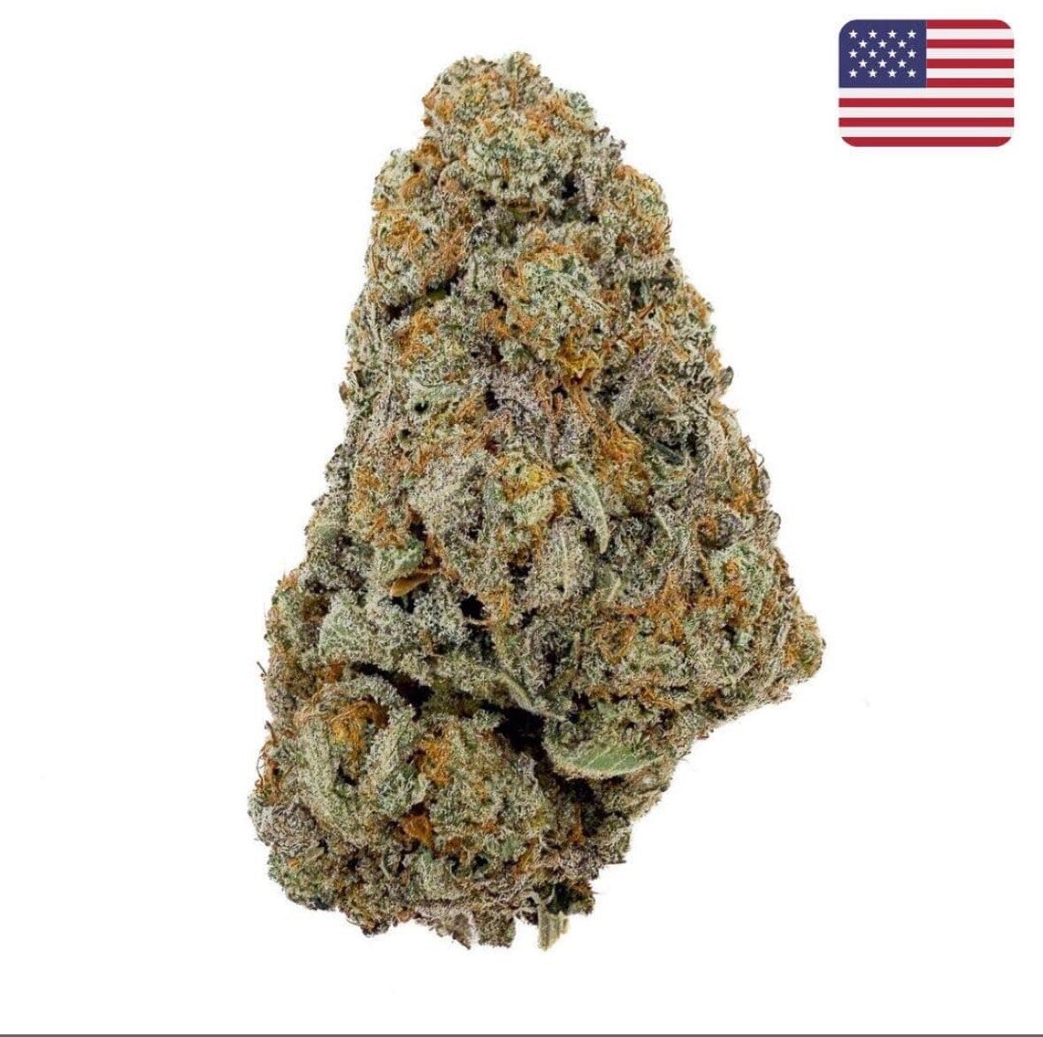 Buttercream Gelato 🇺🇸