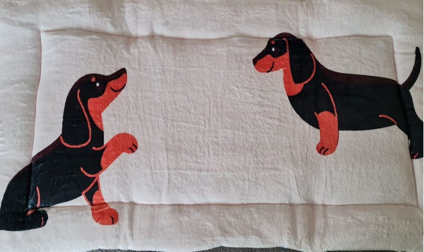 Zwei Dackel mit Beigen Hintergrund