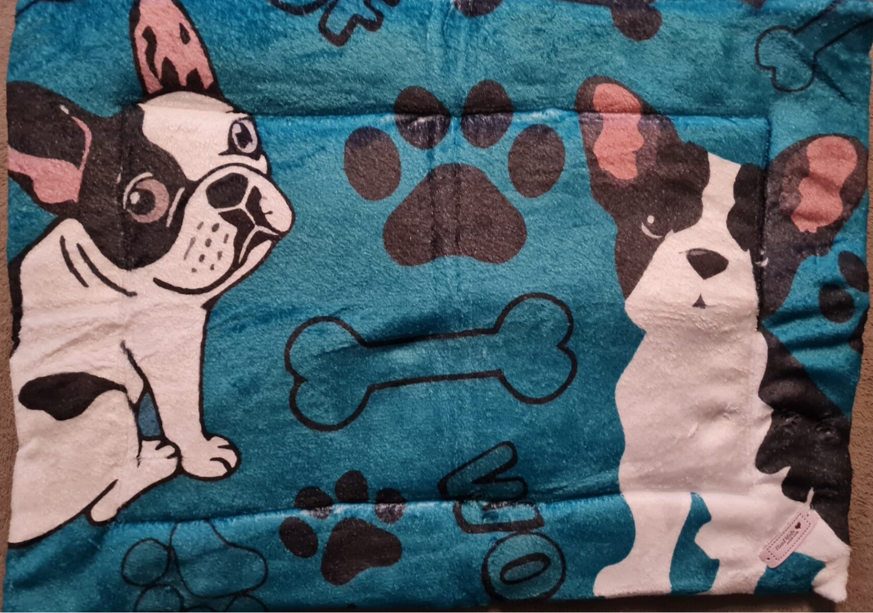 Mops mit blauem Hintergrund 2