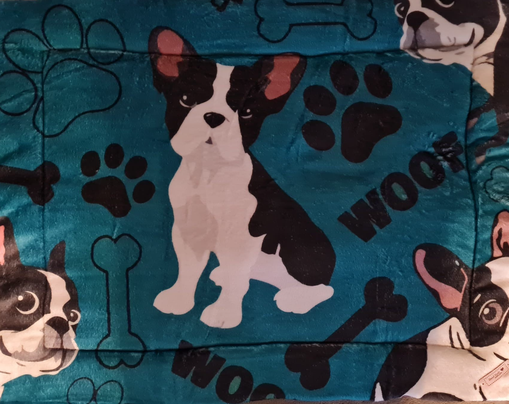 Mops mit blauem Hintergrund 3