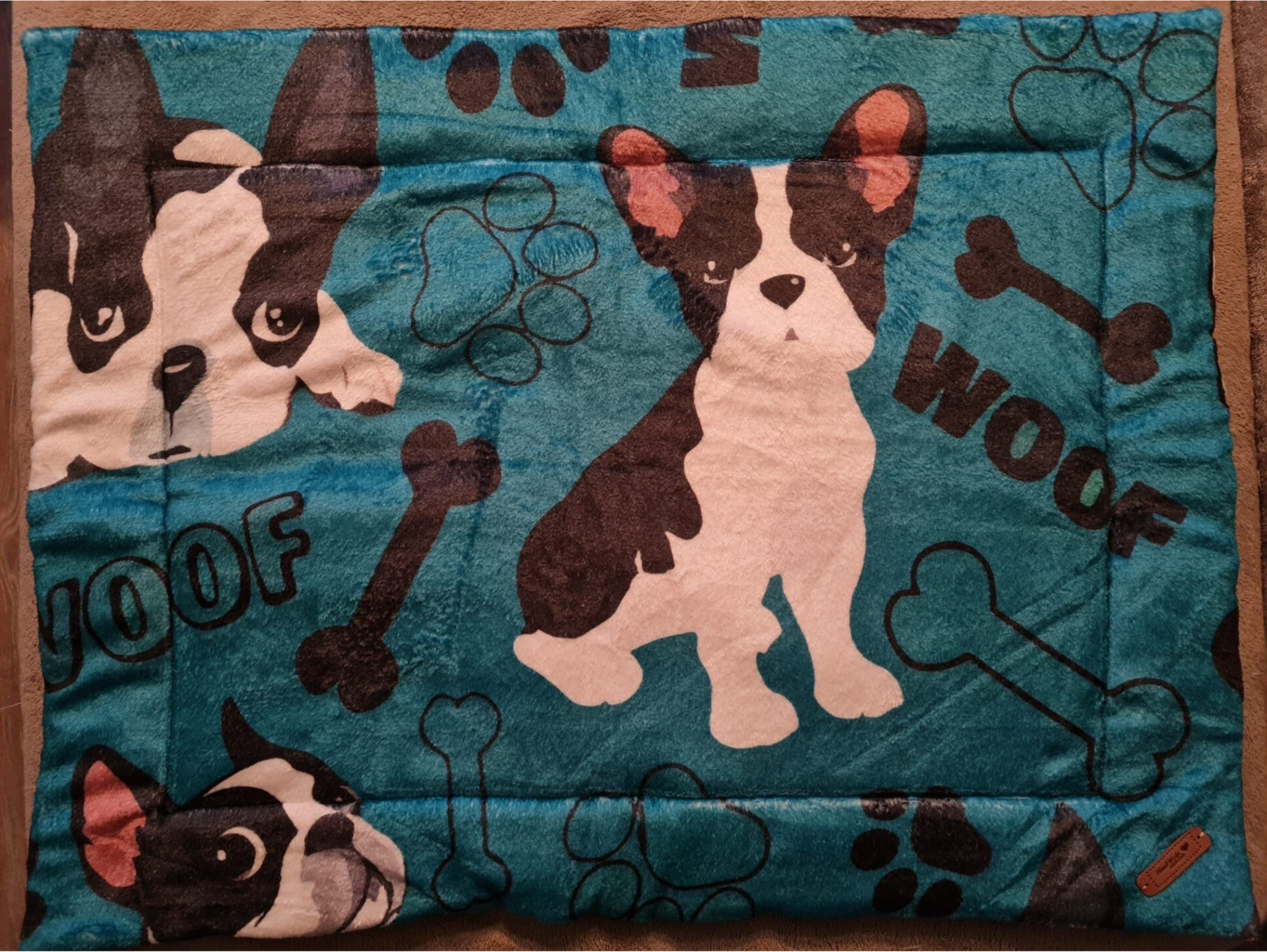 Mops mit blauem Hintergrund