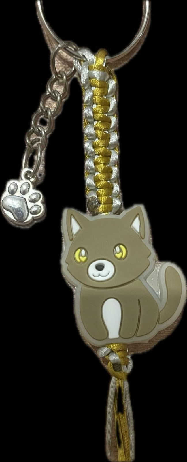 Siam Katze Nachtleuchtend