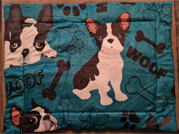 Mops mit blauem Hintergrund