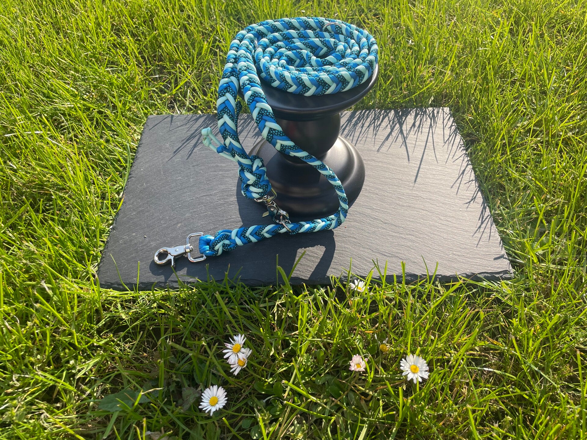 Blau Nachtleuchtend