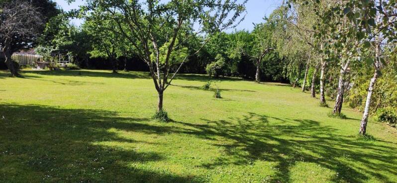 Orchard in the Vendée sunlight 