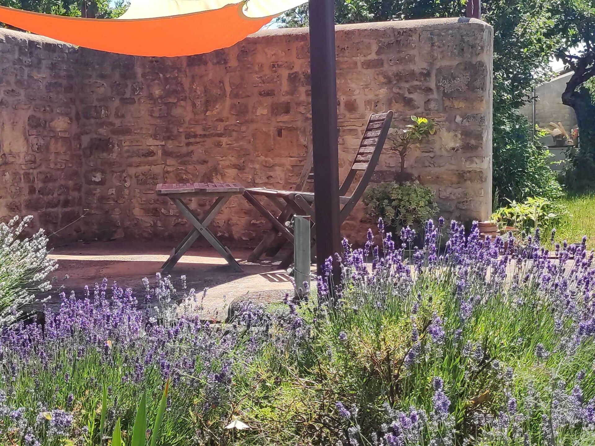Vendeen lavender