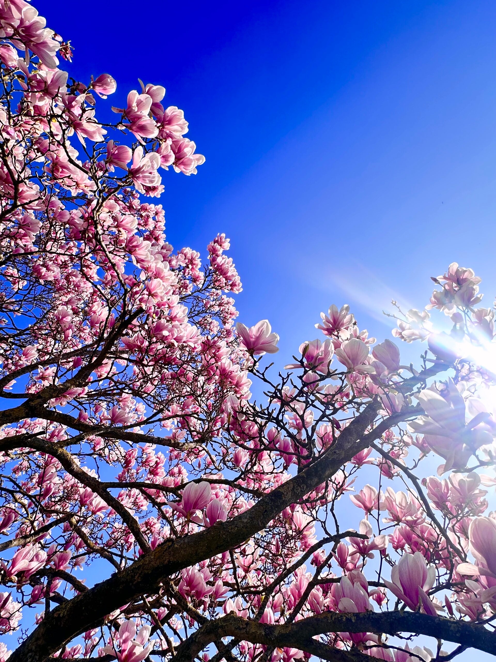buitencoaching aan de waterkant