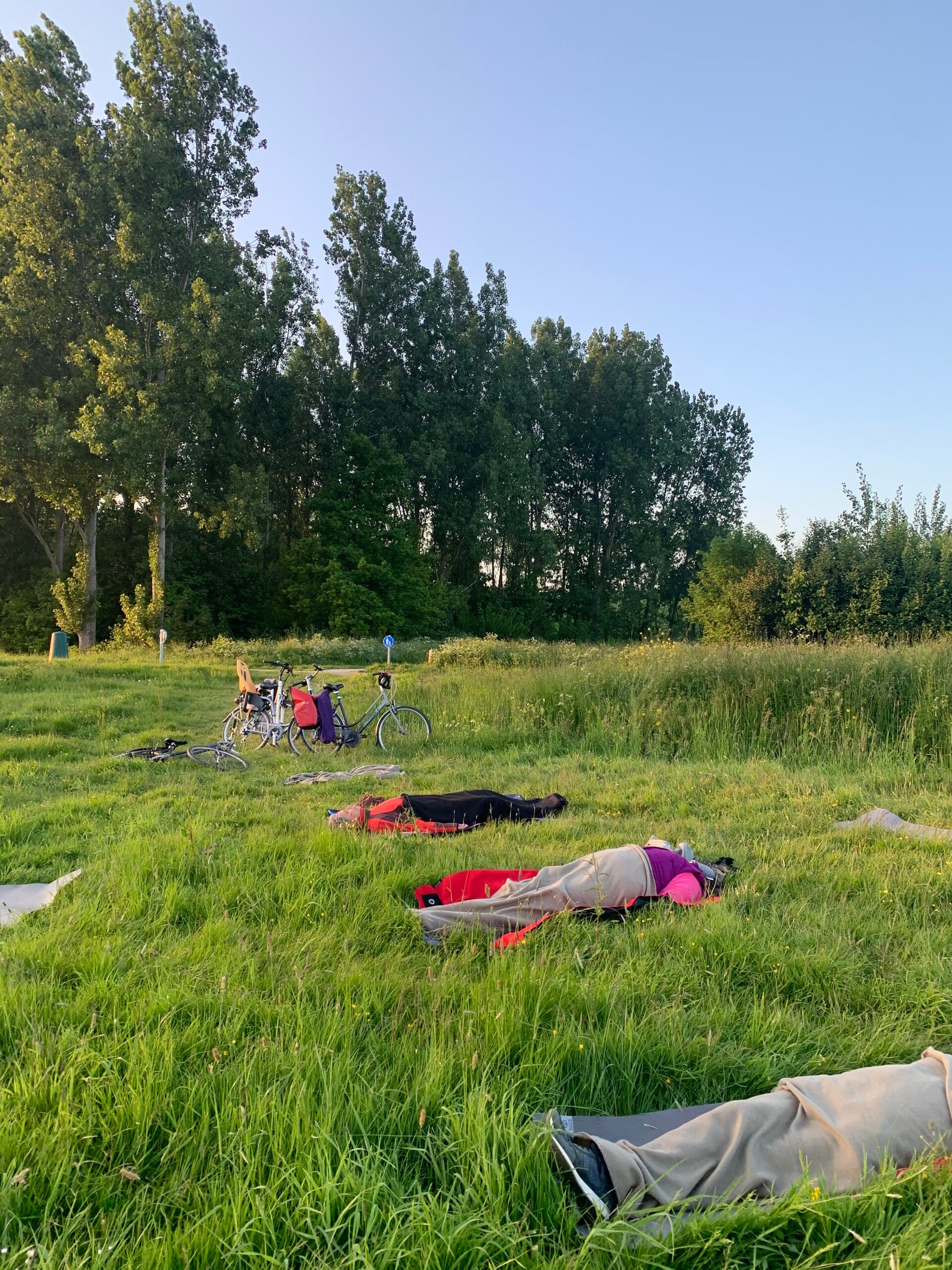 buitenyoga en lichaamsgerichte oefeningen in de zon en het gras