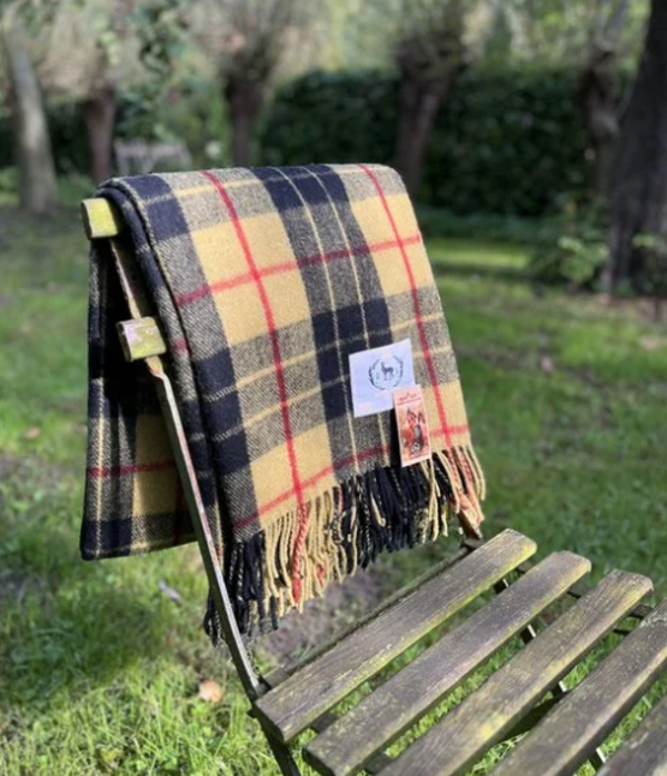 Tartan Lewis Modern