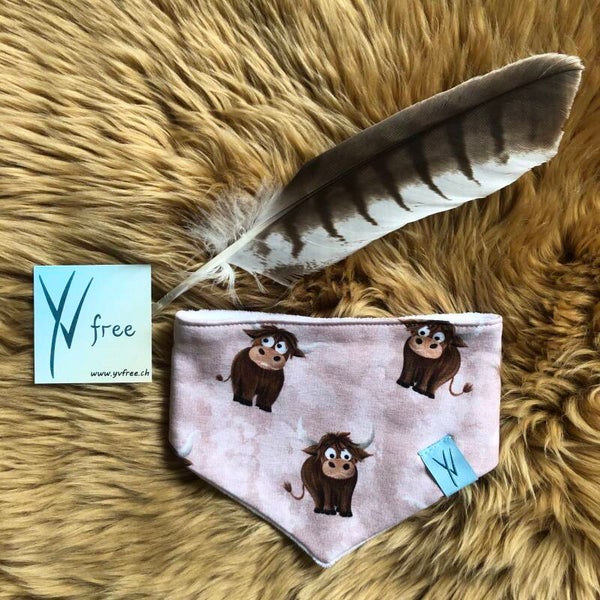 Sabberlatz Schottisches Hochlandrind