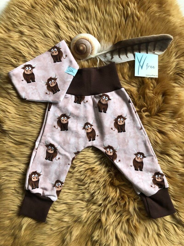 Set Schottisches Hochlandrind