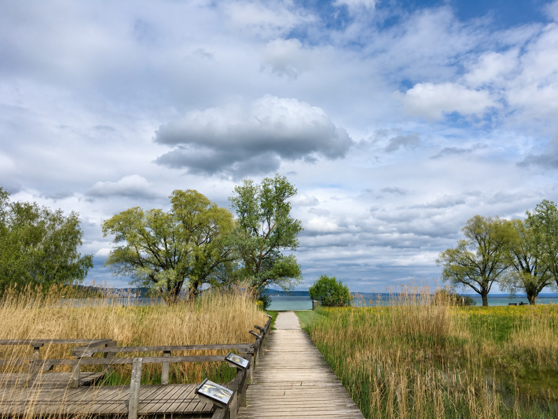 bild von steg der zu einem see führt