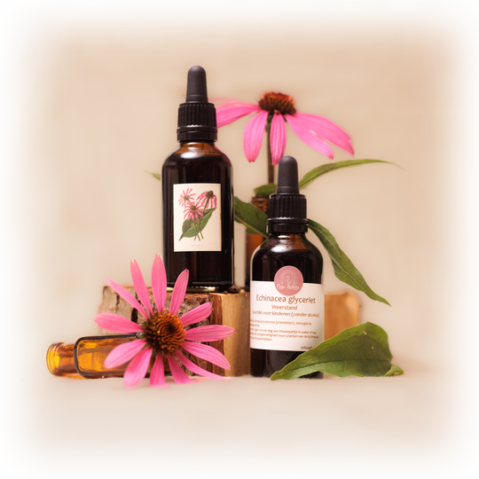 Echinacea glyceriet