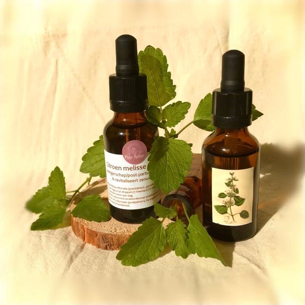 Citroenmelisse glyceriet 30 ml