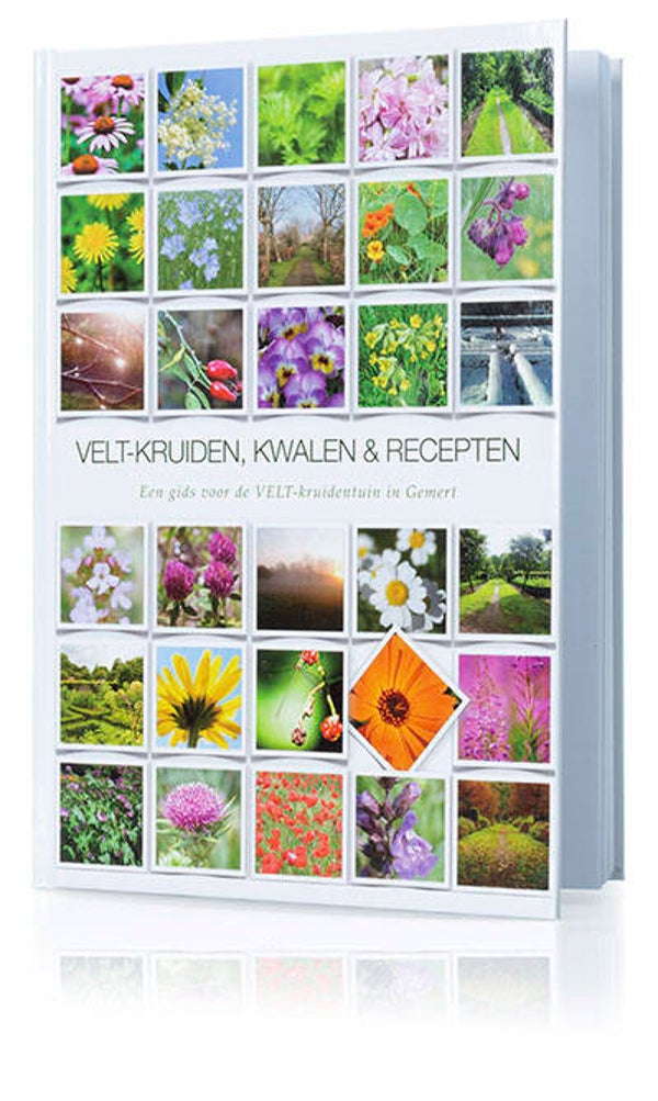 Velt-kruiden, kwalen & recepten