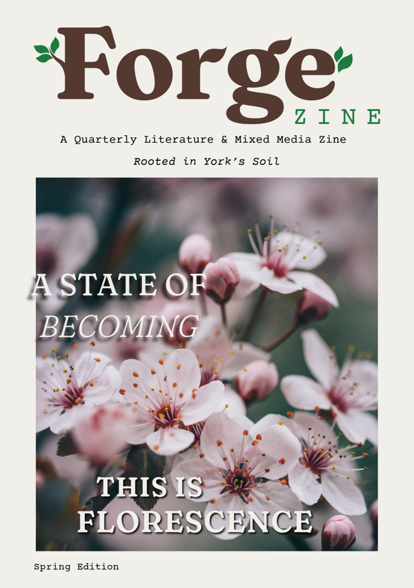 Spring Zine