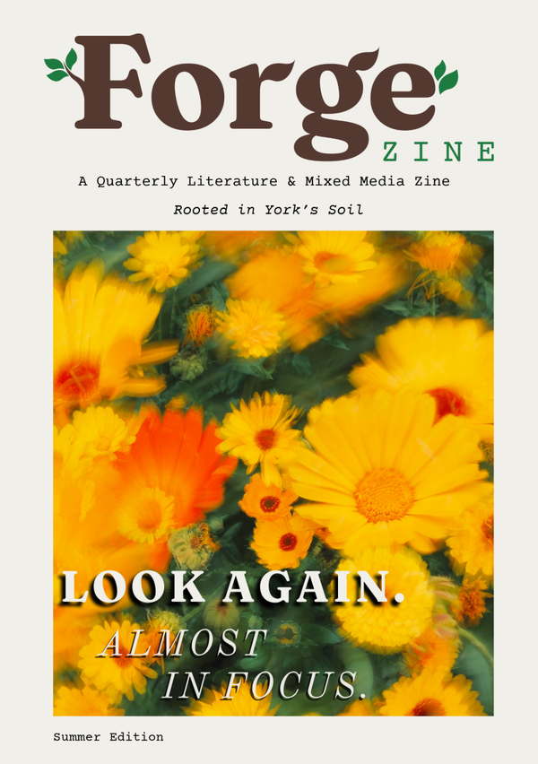 Summer Edition