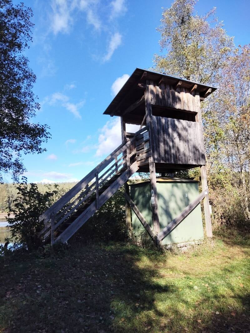 Beobachtungsturm