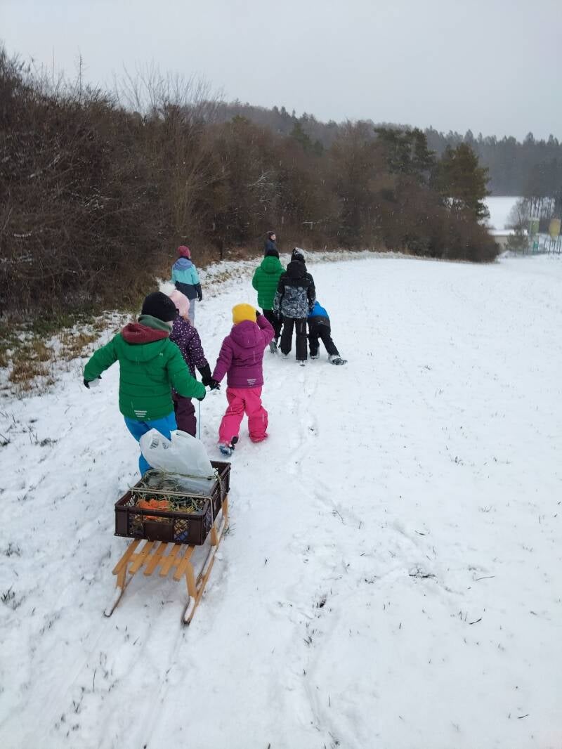 Futterbaum Plecher Heimatverein