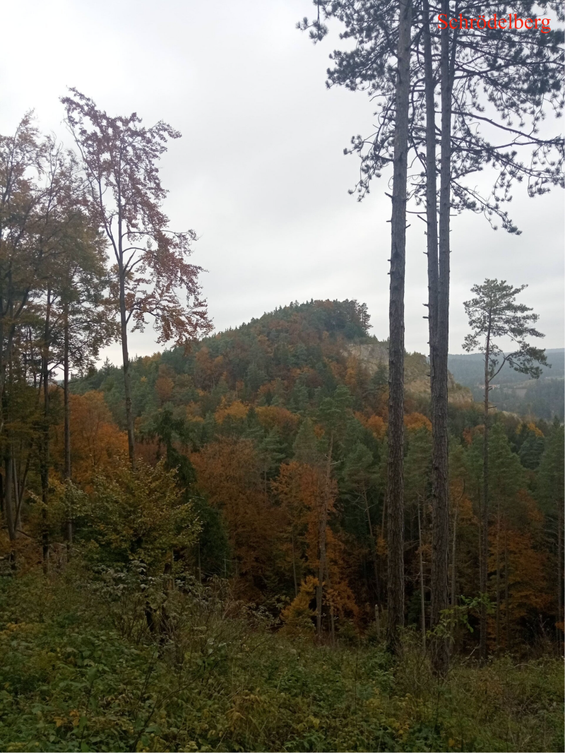 Blick auf Schrödelberg