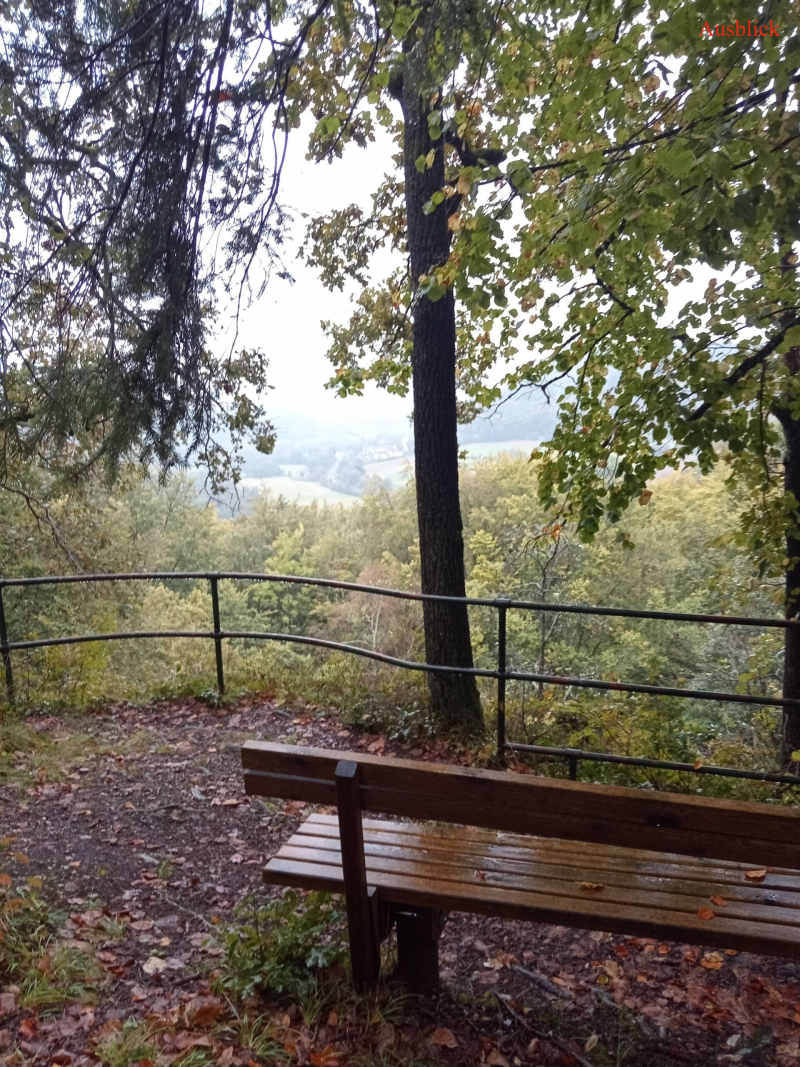 Aussichtspunkt Wengleinpark