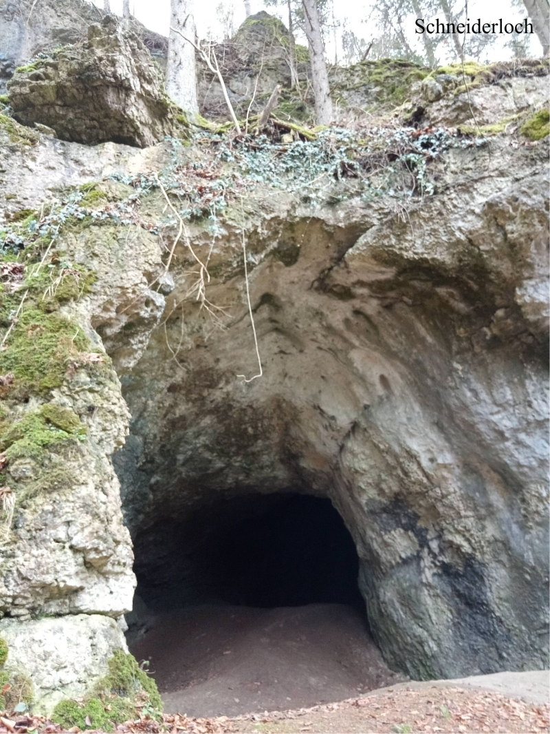 Schneiderloch