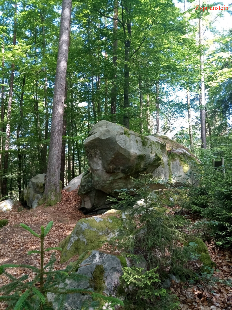Zyprianstein bei Rinnenbrunn
