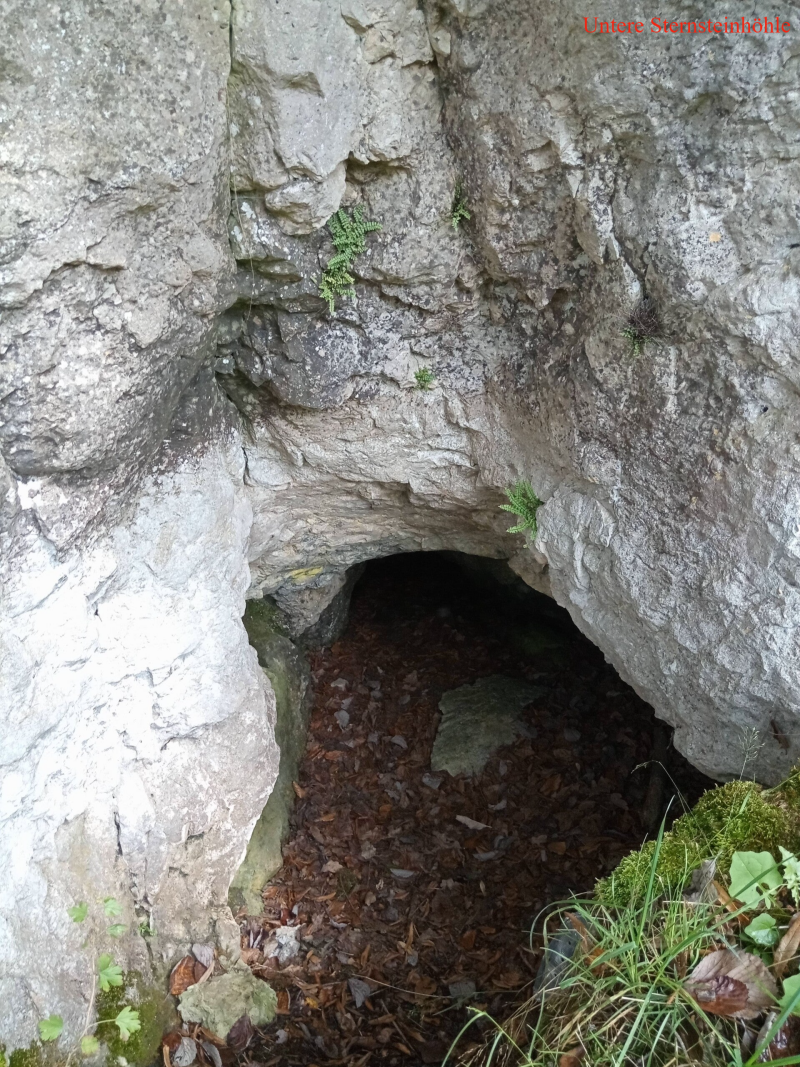 Untere Sternsteinhöhle