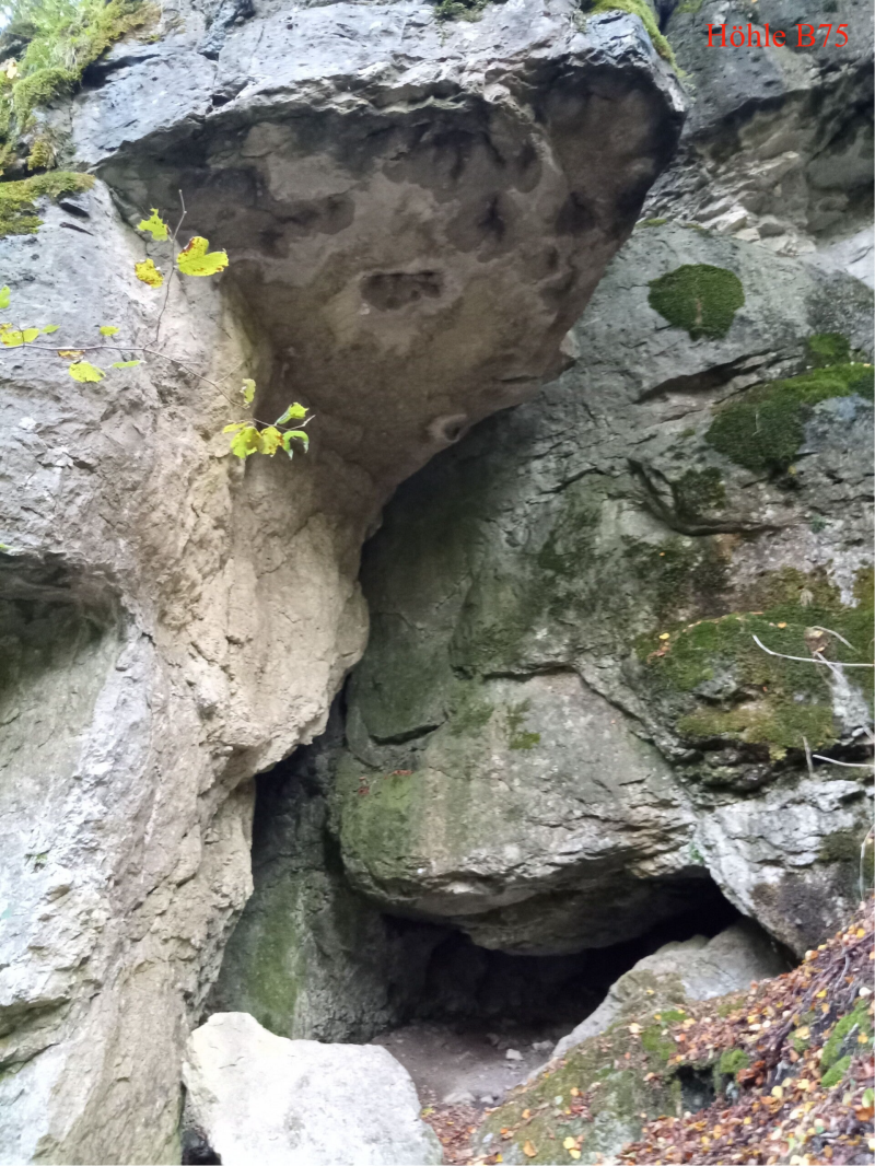 Höhle B75