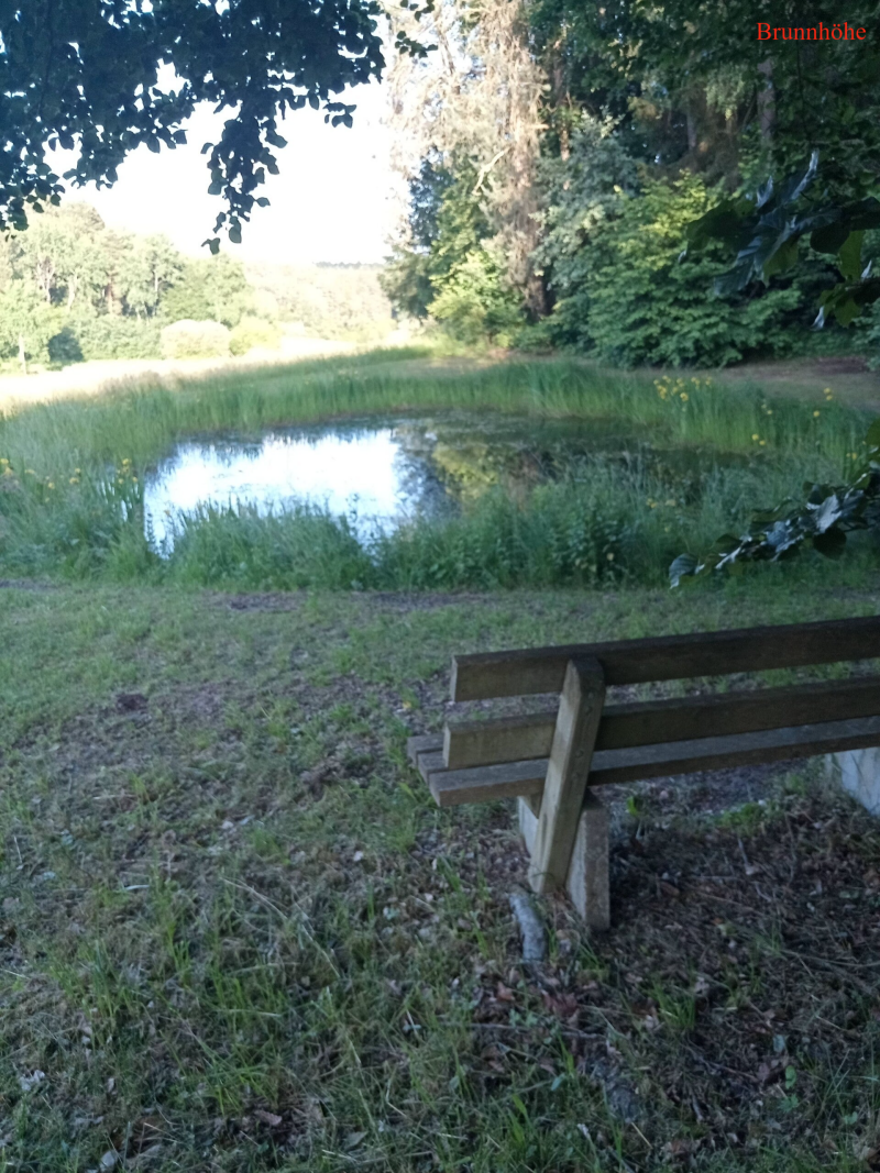 Brunnhöhe Bernheck