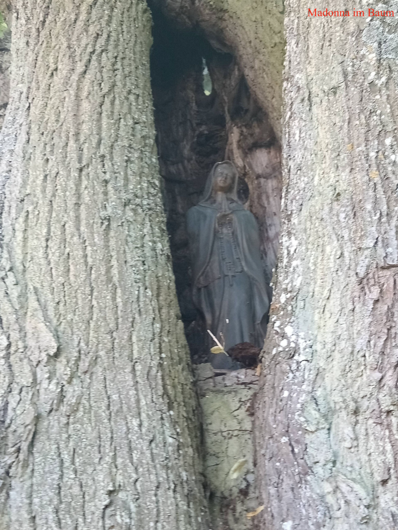 Madonna im Baum Saaß