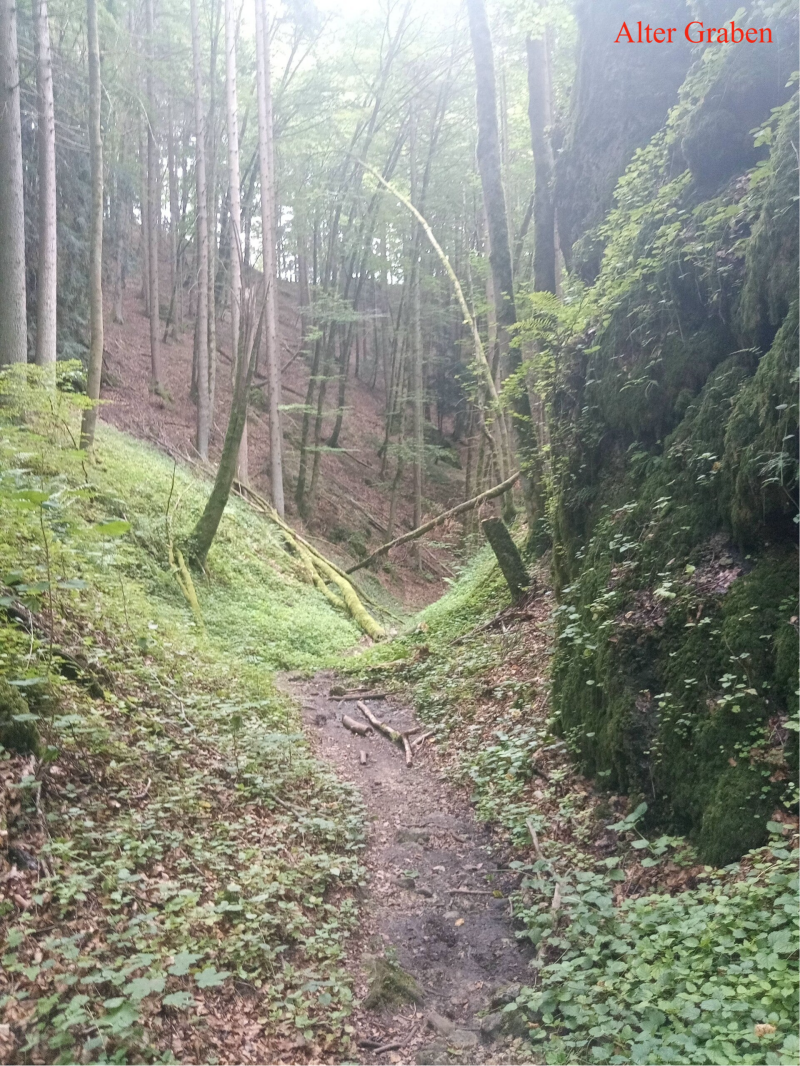 Wanderweg Alter Graben