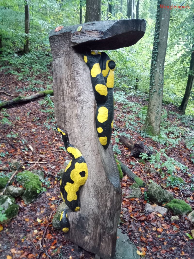 Salamander Wengleinpark