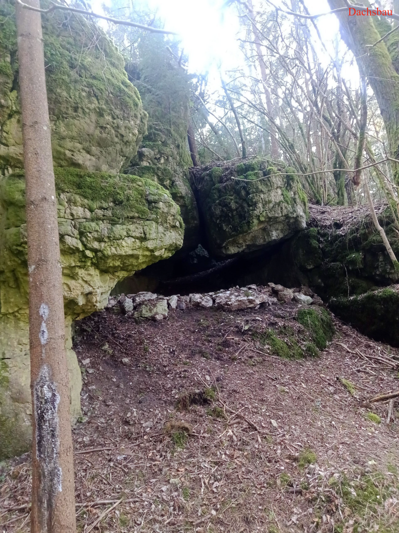 Höhle Abri Dachsbau