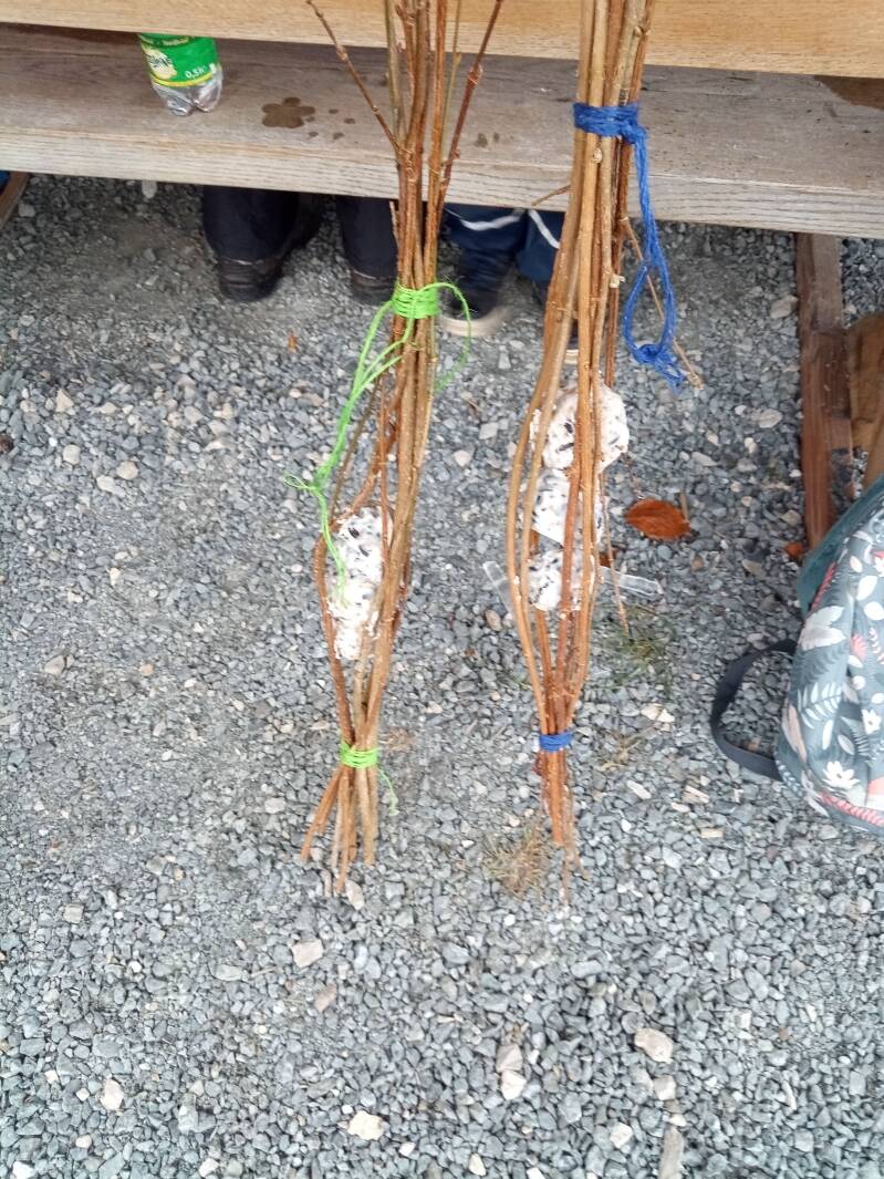 Winterschmaus Gartenvögel