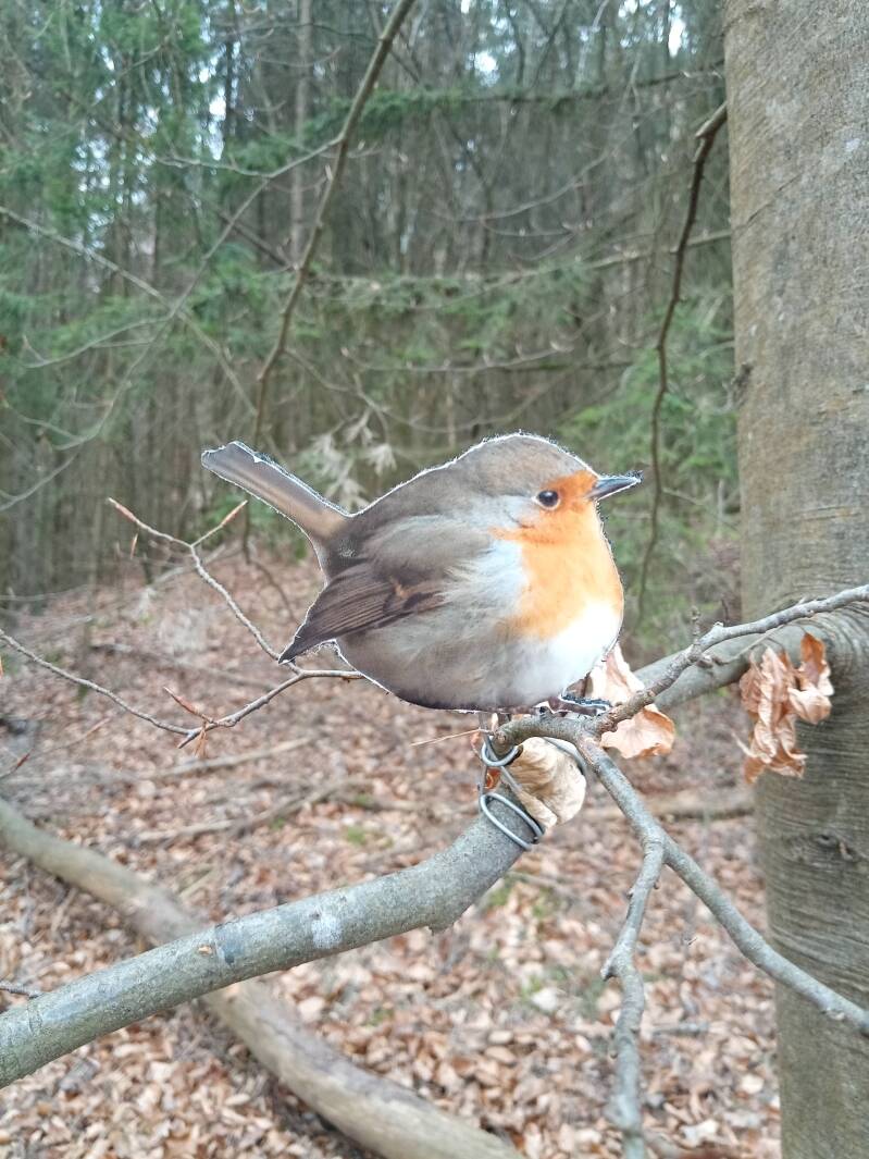 Fränkische Schweiz Kinderweg