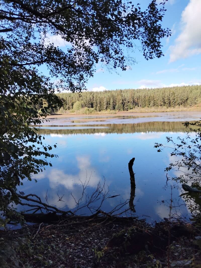 Kammerweiher