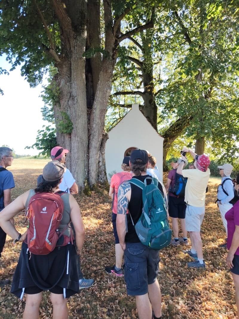 Madonna im Baum