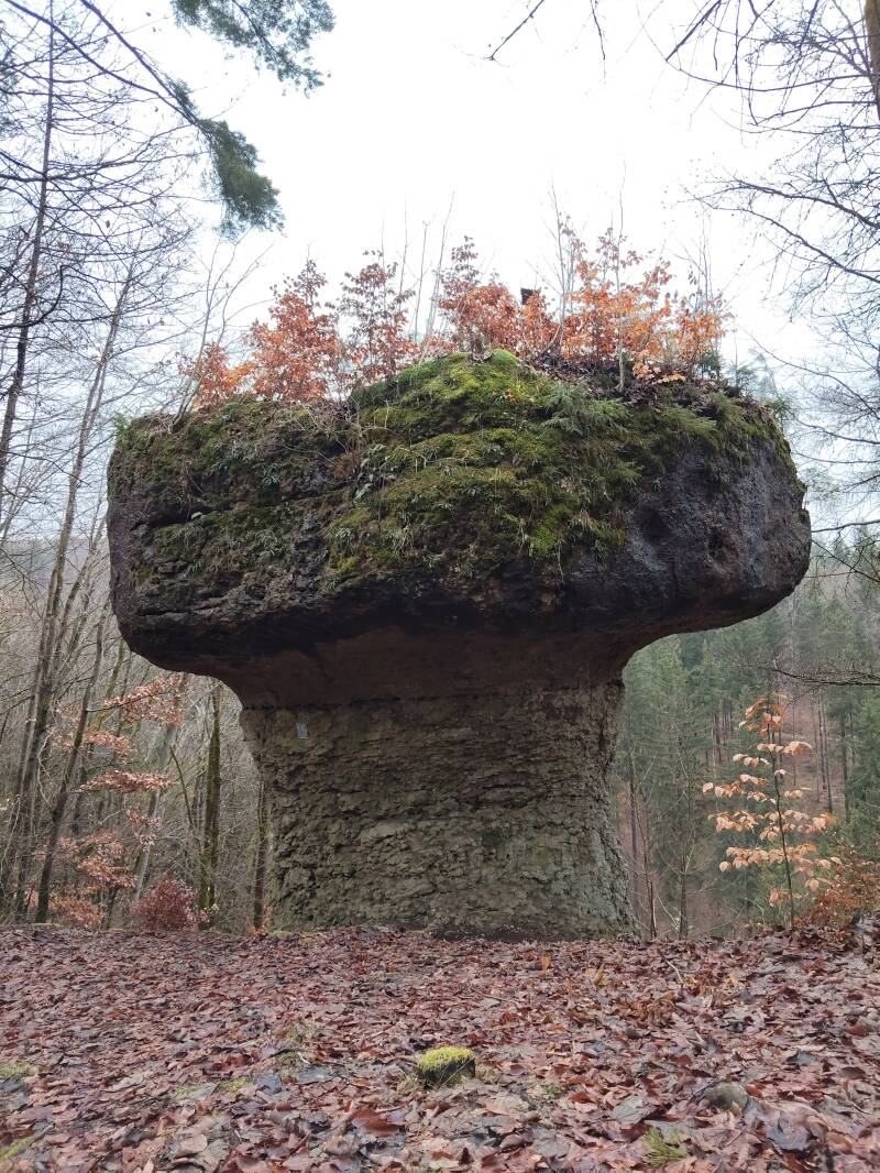 Parasolfelsen