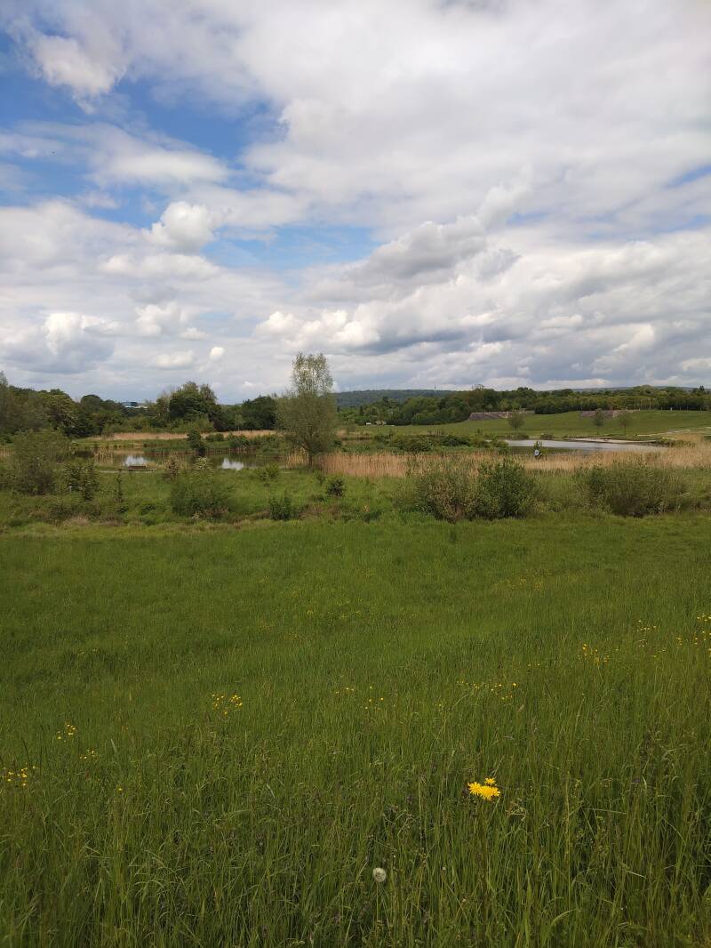 Wilhelminenaue