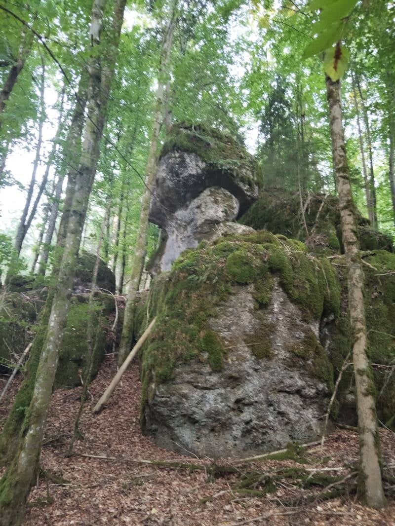 Zuckerhut Veldensteiner Forst